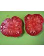 Tomato 'Lithuanian'