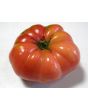 Tomato 'Monk'