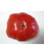 Tomato 'Monk'