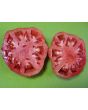 Tomato 'Monk'