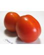 Tomato 'Chico III' Seeds (Certified Organic) 