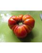 Tomato 'Mortgage Lifter' 