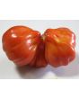 Tomato 'Tlacolula Red' AKA 'Tlacolula Ribbed' 