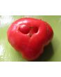 Tomato 'Mortgage Lifter' 