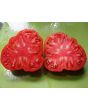 Tomato 'Mortgage Lifter' 