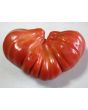 Tomato 'Tlacolula Red' AKA 'Tlacolula Ribbed' 