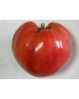 Tomato 'Monomakh's Hat'