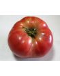 Tomato 'Tall Vine Brandywine'