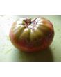 Tomato 'Cherokee Purple'