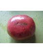 Tomato 'Cherokee Purple'