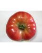 Tomato 'Tall Vine Brandywine'