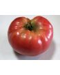 Tomato 'Tall Vine Brandywine'