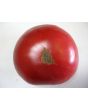 Tomato 'Tall Vine Brandywine'