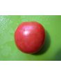 Tomato 'Goose Creek' Seeds (Certified Organic)