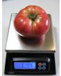Tomato 'Tall Vine Brandywine'