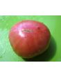 Tomato 'German Queen' 