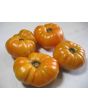 Tomato 'Dr. Wyche's Yellow'