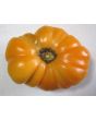 Tomato 'Dr. Wyche's Yellow'
