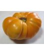 Tomato 'Dr. Wyche's Yellow'