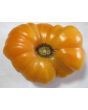 Tomato 'Dr. Wyche's Yellow'