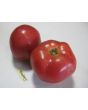 Tomato 'Bradley'