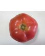 Tomato 'Bradley'