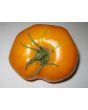 Tomato 'Golden Sunray' 