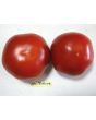 Tomato 'Saint Pierre'