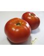 Tomato 'Saint Pierre'