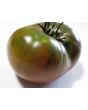 Tomato 'Black Mystery'