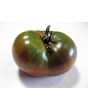 Tomato 'Black Mystery'