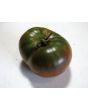 Tomato 'Black Mystery'