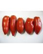 Tomato 'Opalka'