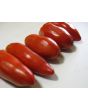 Tomato 'Opalka'