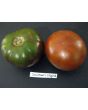 Tomato 'Southern Night'