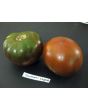 Tomato 'Southern Night'