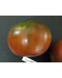 Tomato 'Southern Night'