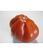 Tomato 'Belmonte'