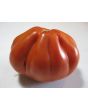 Tomato 'Belmonte'