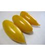 Tomato 'Banana Legs'