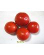 Tomato 'Bellestar'