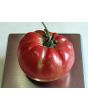 Tomato 'Olive Hill'