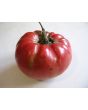 Tomato 'Olive Hill'