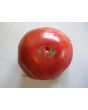 Tomato 'Olive Hill'