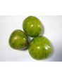 Tomato 'Green Zebra'
