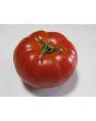 Tomato 'Adventure' Seeds (Certified Organic)