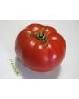 Tomato 'Adventure' Seeds (Certified Organic)