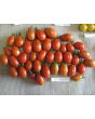 Tomato 'Jelly Bean' Seeds (Certified Organic)