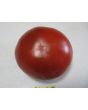 Tomato 'Adventure' Seeds (Certified Organic)