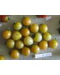 Tomato 'Gajo de Melon'